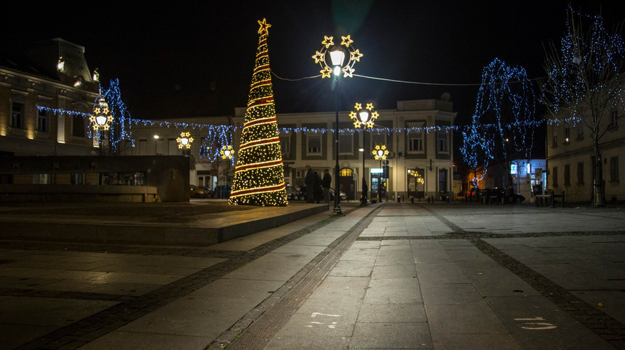 Zemun pesacka zona - ACO referentni projekat slika